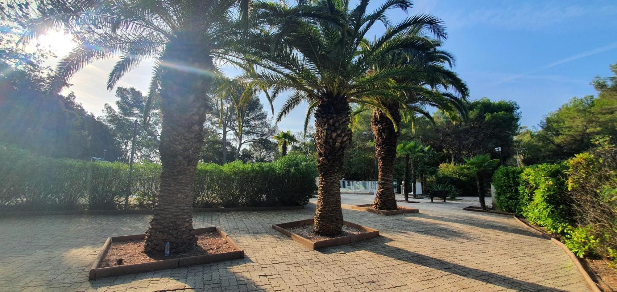 ואלאוריס Villa Harmony מראה חיצוני תמונה